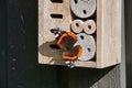 Red admiral butterfly sitting on a wooden wall, bug hotel