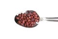 Red Adzuki Beans