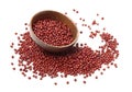 Red adzuki beans.