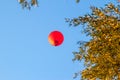 Red air-balloon over trees