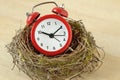 Red alarm clock in a bird nest - Importance of time concept