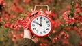 Red alarm clock in flowers in spring, daylight savings time banner or background Royalty Free Stock Photo