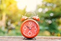 Red alarm clock on old wood Royalty Free Stock Photo