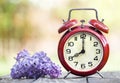 Red alarm clock and purple flower, daylight savings time, spring forward concept Royalty Free Stock Photo