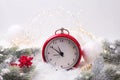 Red alarm clock - symbol of New Year, fir tree branches, berri Royalty Free Stock Photo