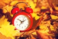 Red alarm clock on yellow autumn maple leaves, soft focus. Royalty Free Stock Photo