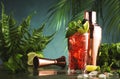 Red alcoholic cocktail with bitter, whiskey, soda, lime, mint and ice. Dark tropical background, copy space Royalty Free Stock Photo