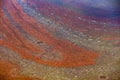 Red algae in a lake