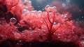 Red algae rhodophyta. Abstract close-up, selective focus, and creative lighting