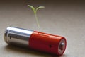 Red Alkaline AA battery close up with a green bore sprouted seed