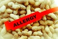 Peanut Allergy Bracelet Royalty Free Stock Photo