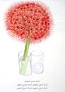 Red allium flower watercolor painted Royalty Free Stock Photo