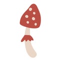 Red Amanita mushroom. Poisonous toadstool fly agaric. Decoration for greeting cards, posters, patches, prints for clothes, emblems Royalty Free Stock Photo