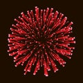 Red amazing firework isolated in dark background close up For 4 of July, Independence day, New Year card