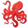 Red angry cartoon octopus. Isolated watercolor illustration. Clipart Royalty Free Stock Photo