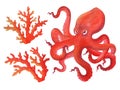 Isolated watercolor illustration. Red angry cartoon octopus and corals. Clipart Royalty Free Stock Photo