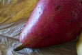 Red Anjou pears Royalty Free Stock Photo