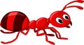 Red ant cartoon Royalty Free Stock Photo