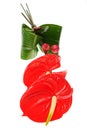 Red Anthurium