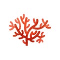 Red antler soft coral. Marine life. Invertebrate animal. Object related to sea and ocean theme. Flat vector with texture