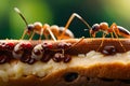 red ants eating sugar on bread Royalty Free Stock Photo