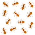 Red ants Seamless background Royalty Free Stock Photo