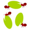 Red ants teamwork illustration