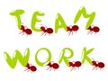 Red ants teamwork illustration