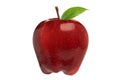 Red Apple Royalty Free Stock Photo
