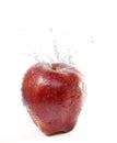 Red apple Royalty Free Stock Photo