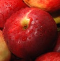 Manzana 