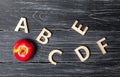 Red apple and alphabet made of wooden letters on a dark background of a school board. Apple for the teacher. The concept of an ele
