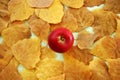 Red apple on the background of yellow dry autumn leaves, top view. Royalty Free Stock Photo