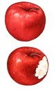 Red apple with a bite realistic illustration