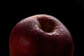 Red apple on a black background2 Royalty Free Stock Photo
