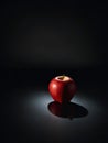 Red apple on a black background. The surface of the apple is smooth and shiny, and it is brightly lit from the front Royalty Free Stock Photo