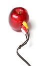 Red apple cable connection Royalty Free Stock Photo