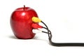 Red apple cable connection Royalty Free Stock Photo