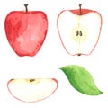 Red apple clipart set. Hand drawn watercolor illustration Royalty Free Stock Photo