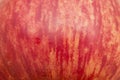 Red apple close up abstract