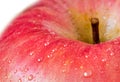 Red apple close-up Royalty Free Stock Photo