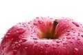 Red apple closeup with waterdrops Royalty Free Stock Photo