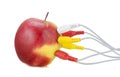 Red apple connection in network Royalty Free Stock Photo