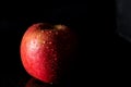 Red apple covered in water drops on black background with copy space. Health Concept with refreshing fruit