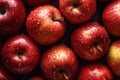 Red apple covered with water drops. studio light. Apple background.