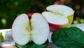 Red apple cut in half with water drops on an old table, close up, copy space, background Royalty Free Stock Photo