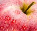 Red apple detail, water drops Royalty Free Stock Photo