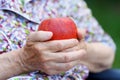 Red apple Royalty Free Stock Photo