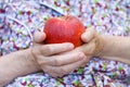 Red apple Royalty Free Stock Photo