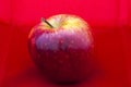 Red apple Royalty Free Stock Photo